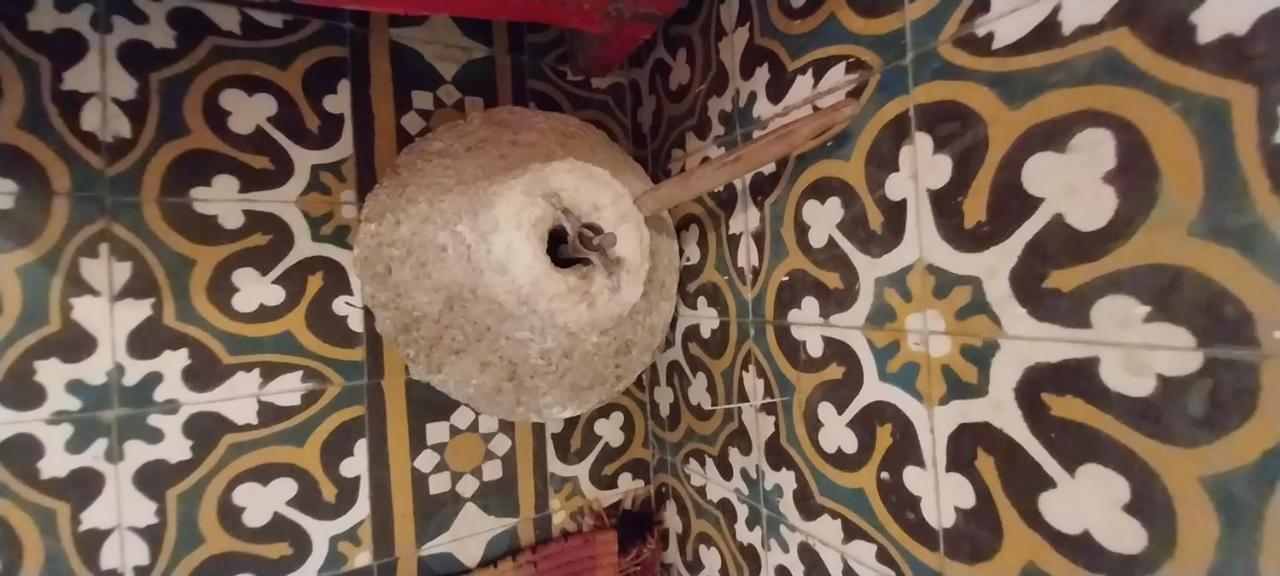 Riad Lala Zakia Moulay Idriss Zerhoun Exterior photo